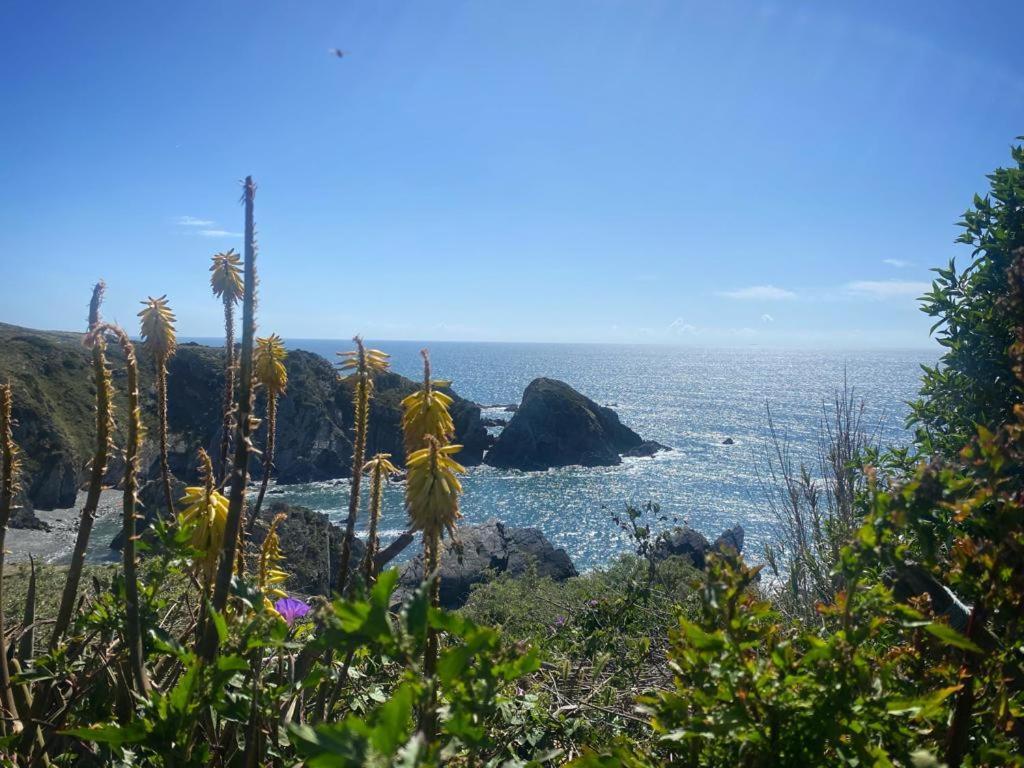 Casa Do Brejao Campo E Praia Odemira Buitenkant foto