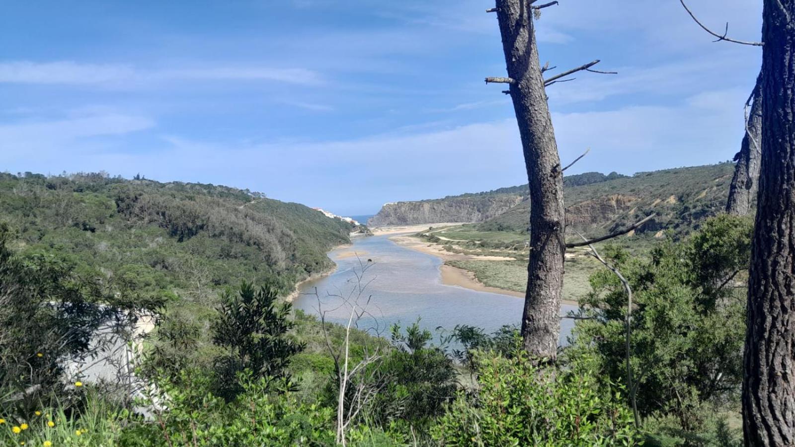 Casa Do Brejao Campo E Praia Odemira Buitenkant foto